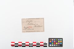 Etiketten zu Bronzemelonenarmreif (NHMW-PRAE-024374)